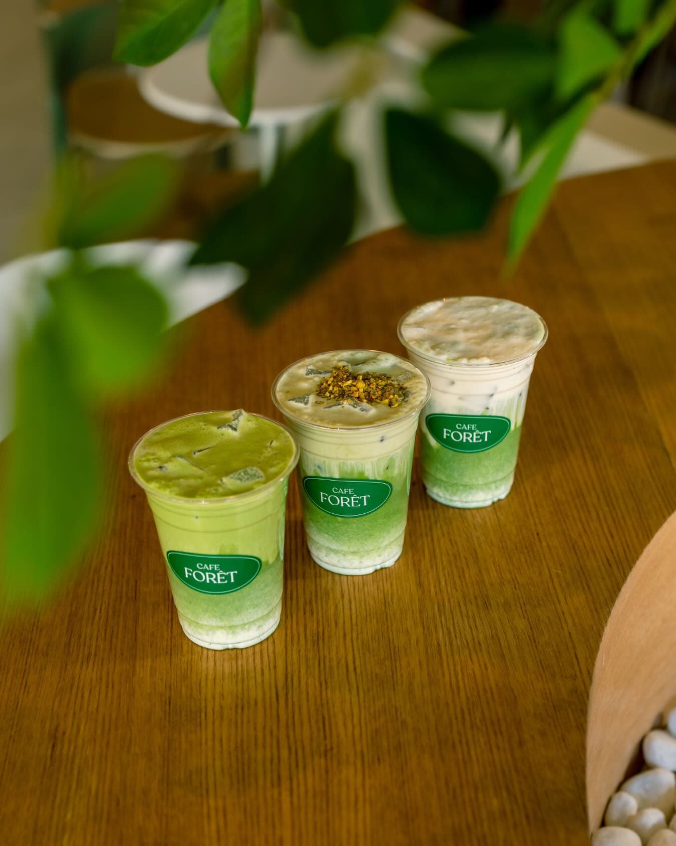 Cafe Foret Signature Iced Coffees
