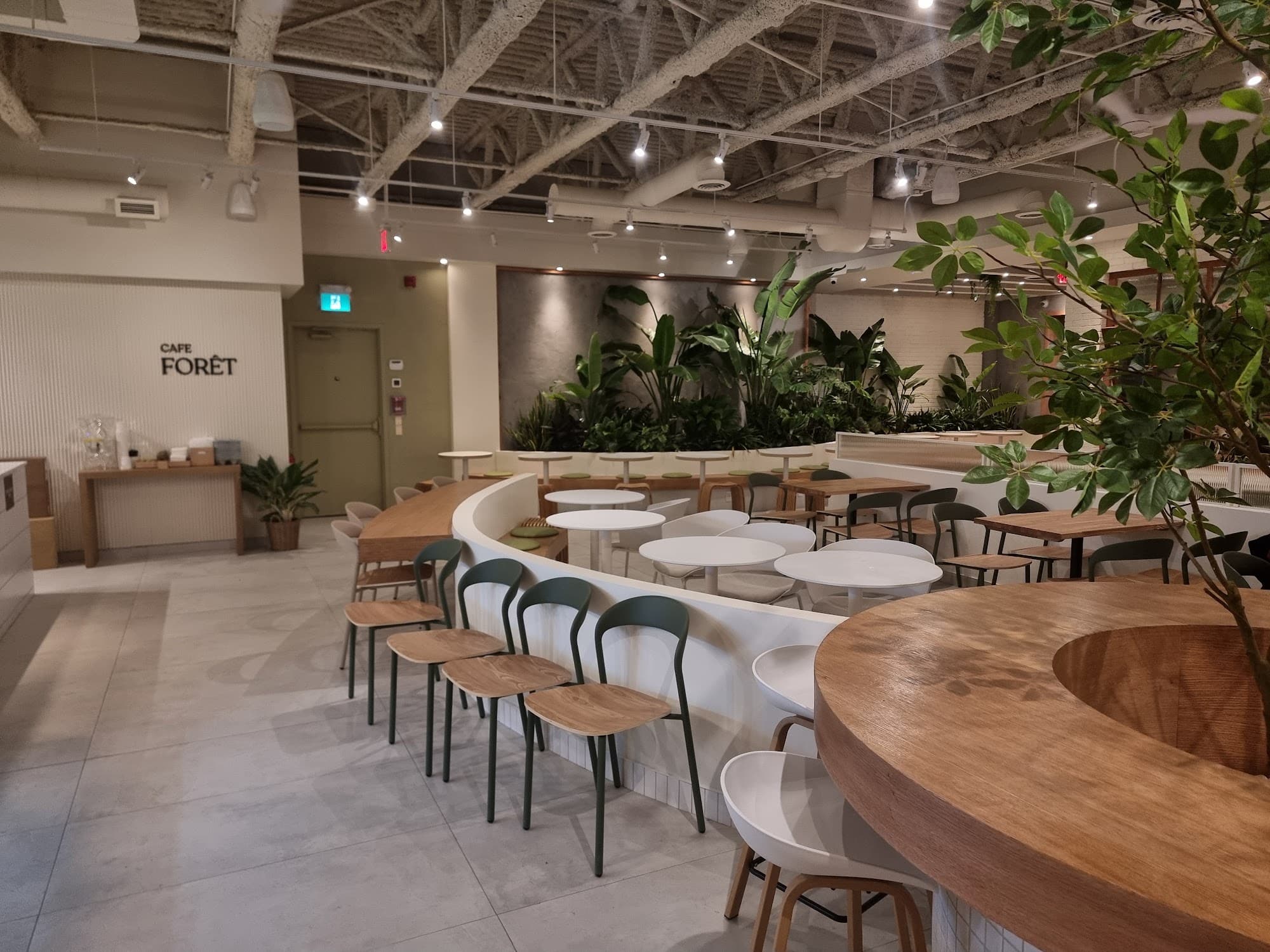 Cozy study and work tables surrounded by lush green plants inside Cafe Forêt